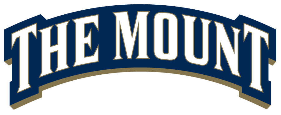 Mount St. Marys Mountaineers 2016-Pres Wordmark Logo v2 diy iron on heat transfer